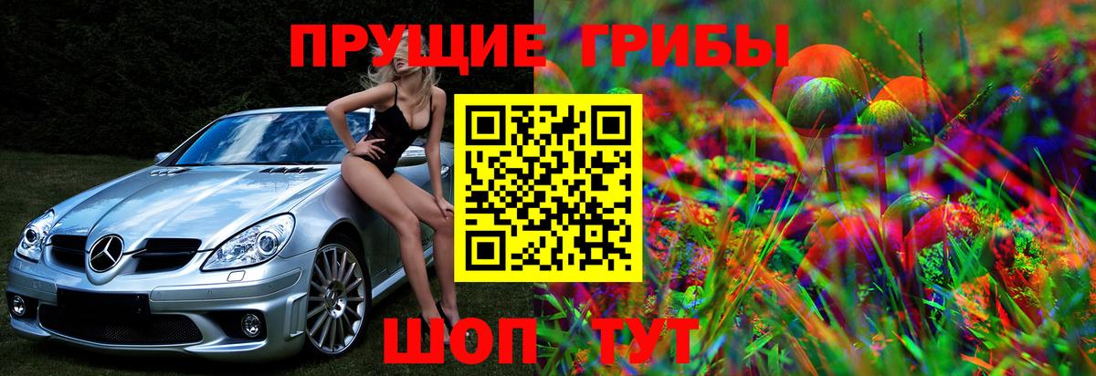 Галлюциногенные грибы Psilocybine cubensis Луга