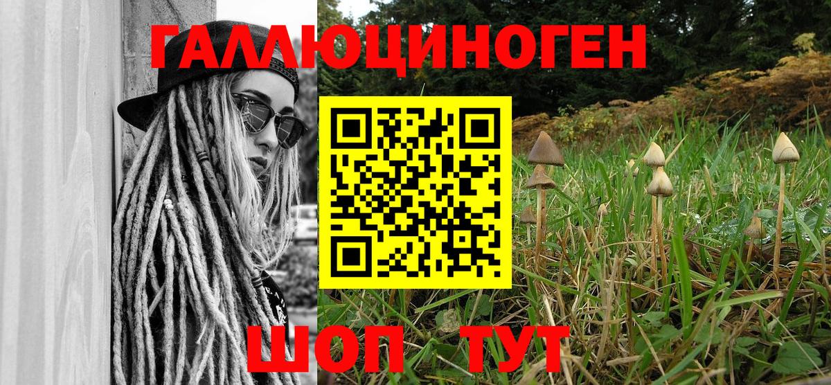Галлюциногенные грибы Psilocybe  Вход с VPN  Луга  Галлюциногенные грибы мухоморы 